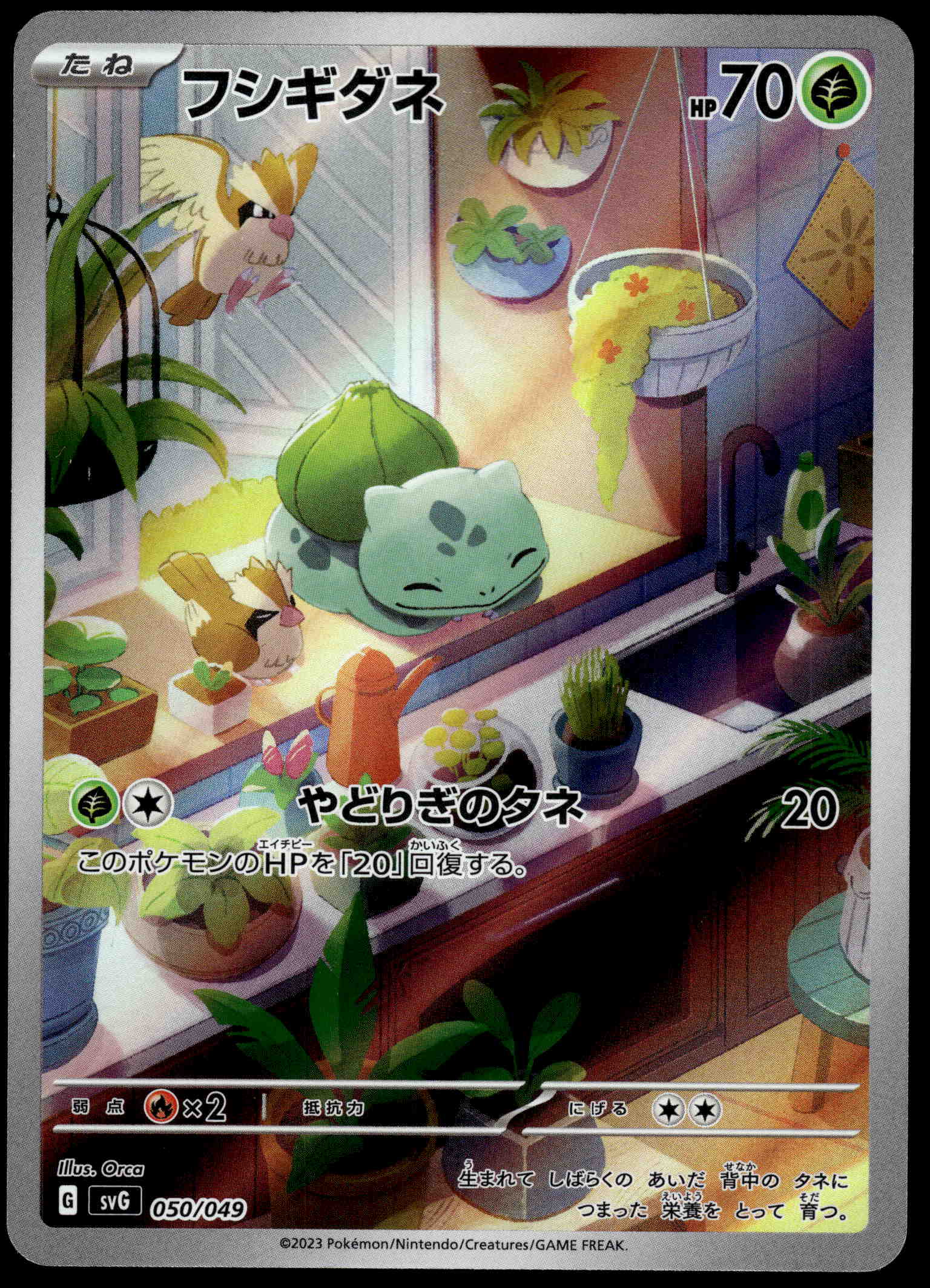 フシギダネ BULBASAUR SYG 050/049 ポケモンカード Bulbasaur 050/049 AR Promo special deck set ex Pokemon Card