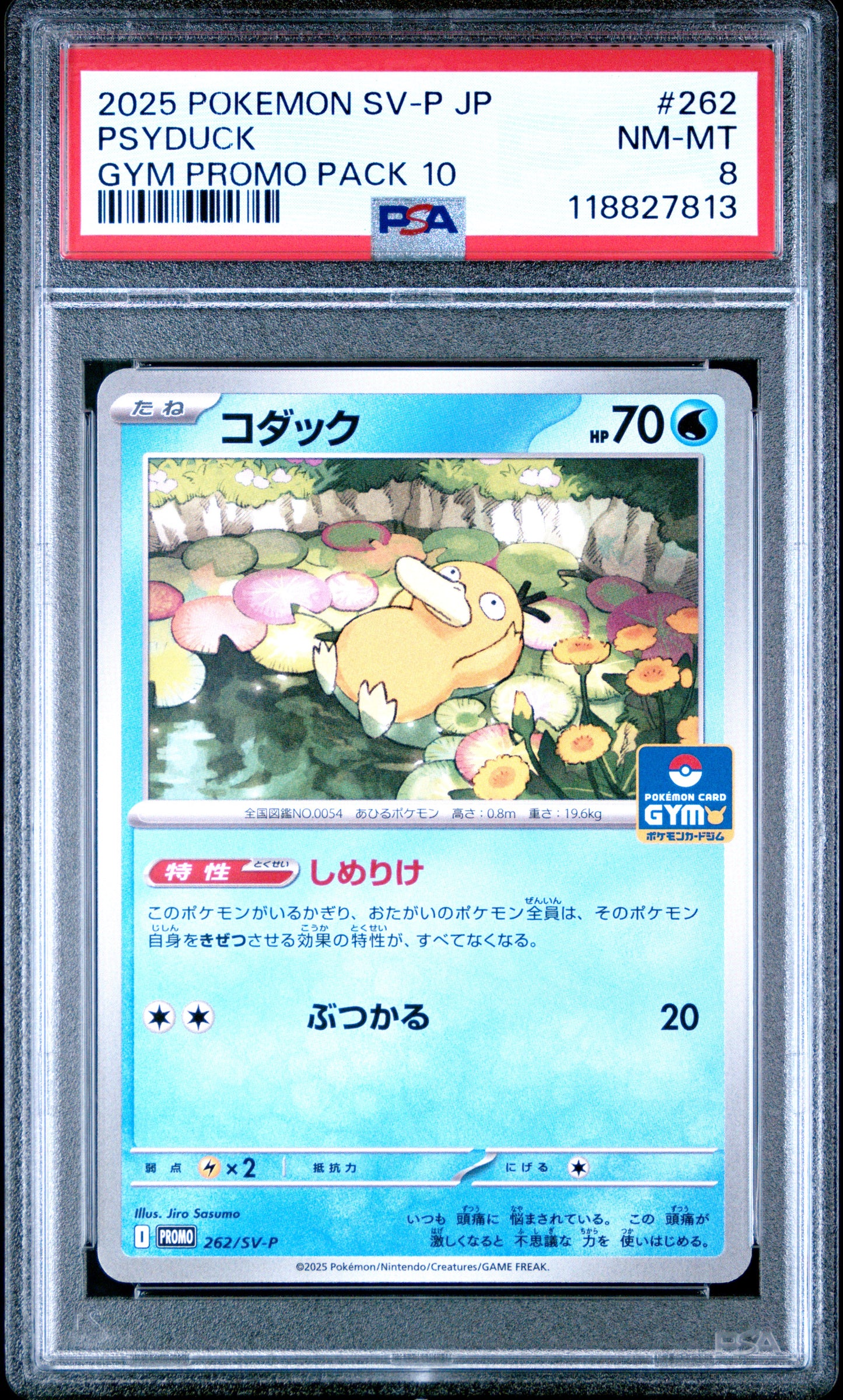 PSA 8 - Pysduck 262/SV-P Gym Campaign Japanese Promo - Pokemon