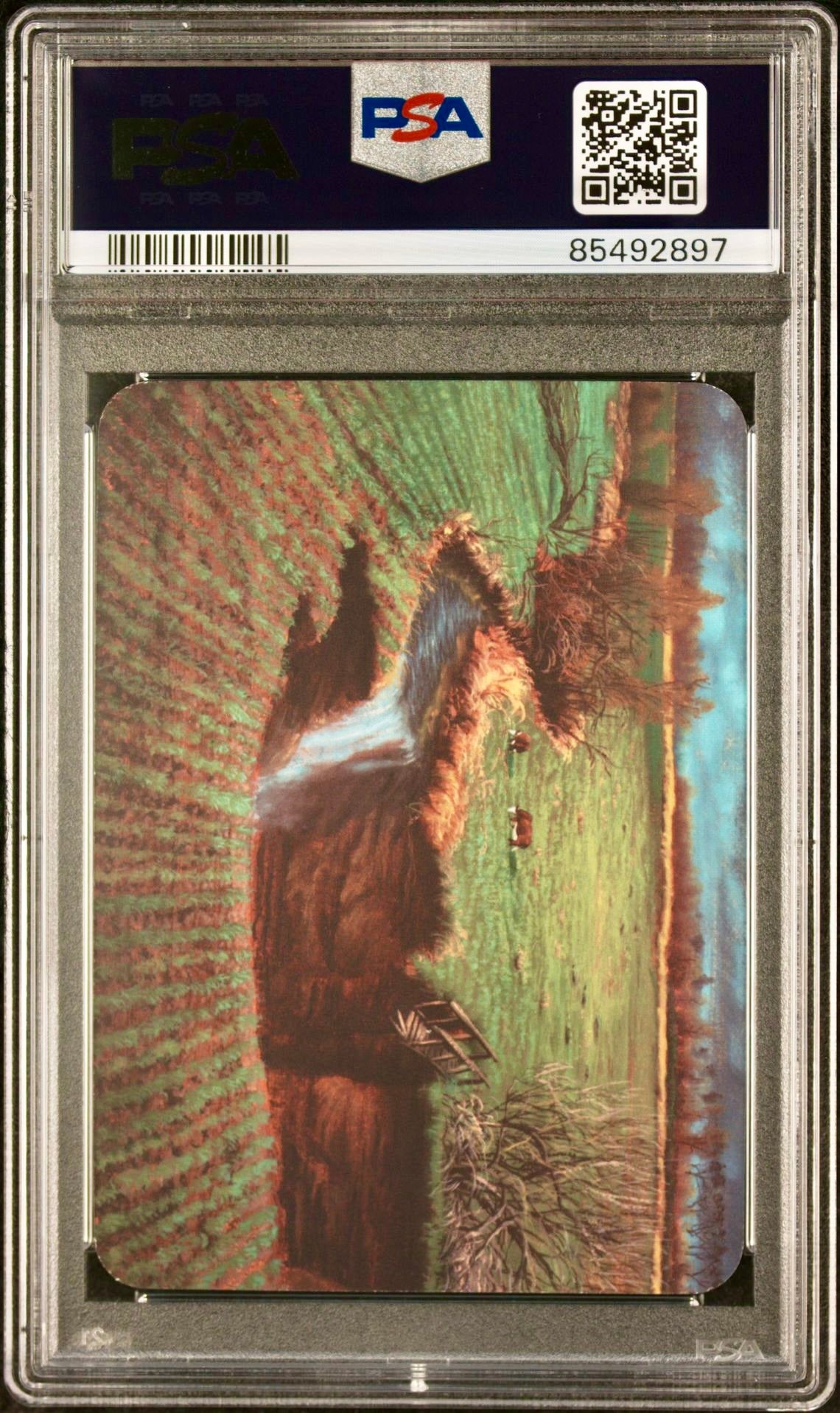 PSA 9 - Sinkhole (Exceptional Foil) Beta - Sorcery
