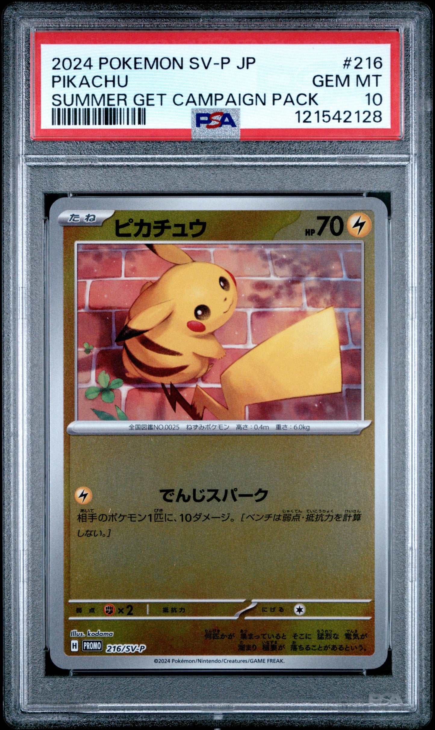 PSA 10 - Pikachu 216/SV-P Summer Get Campaign Pack Japanese Promo - Pokemon