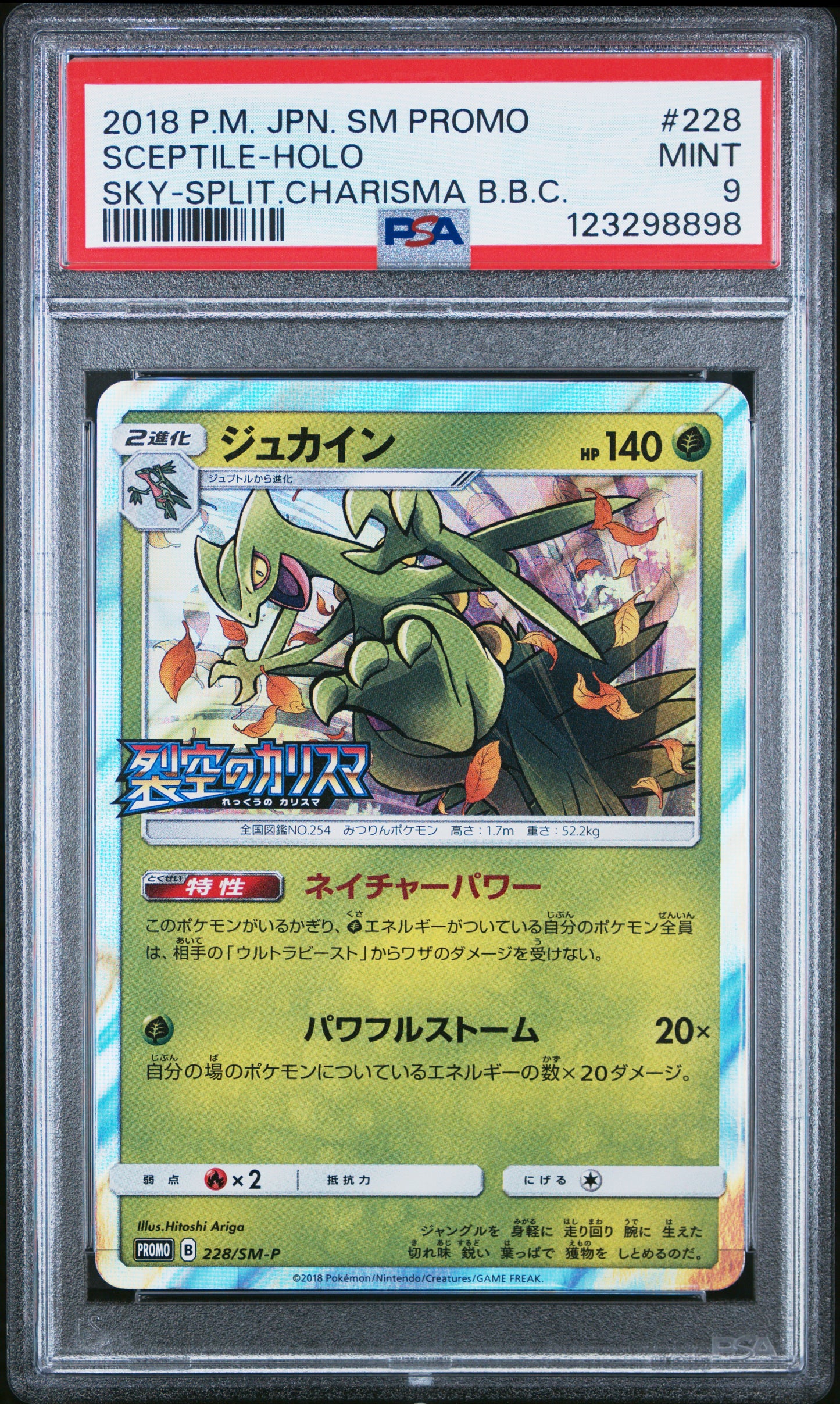 PSA 9 - Sceptile Holo 228/SM-P Sky-Splitting Charisma Box Promo - Pokemon