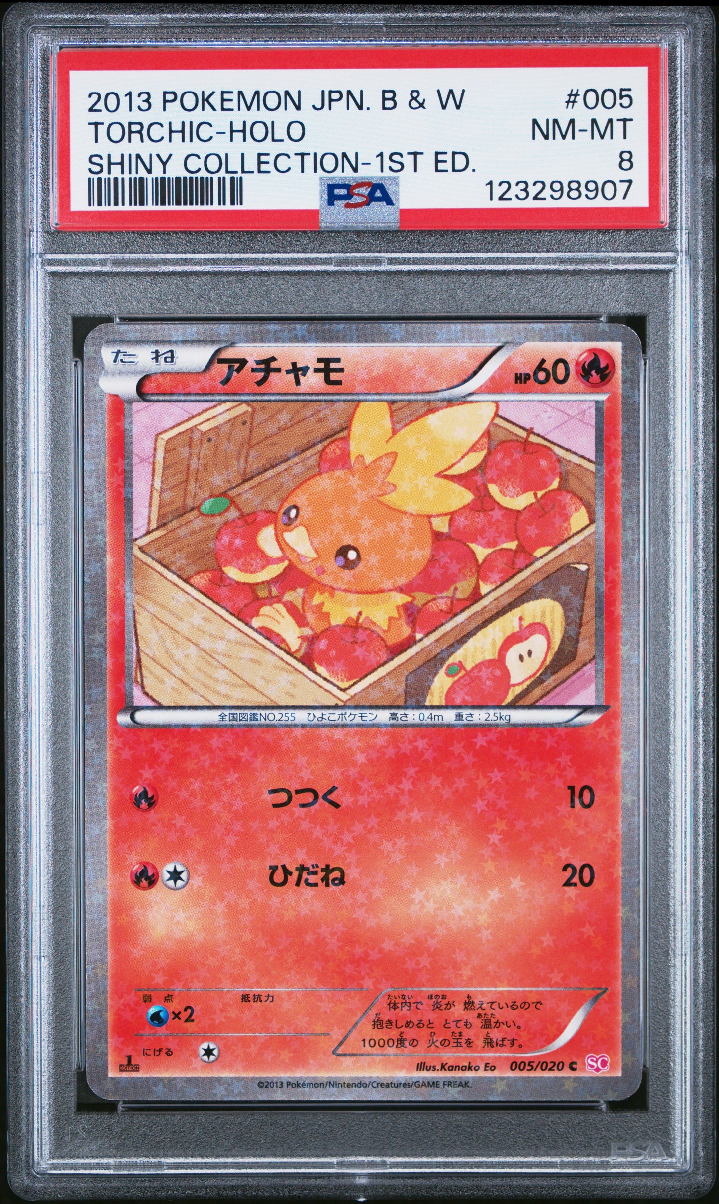 PSA 8 - Torchic Holo 005/020 BW Shiny Collection 1st Edition - Pokemon