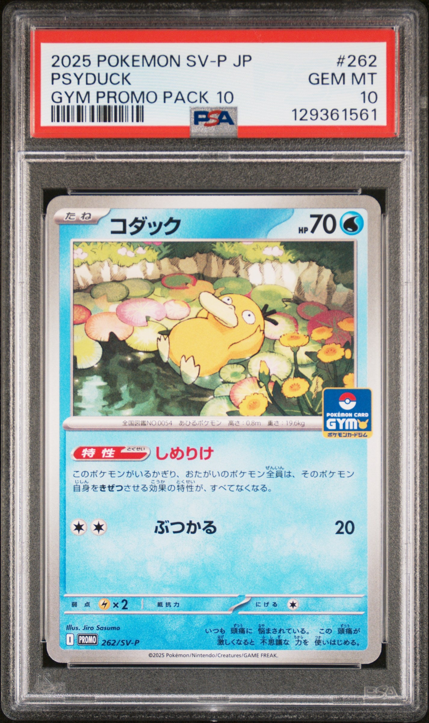 PSA 10 - Psyduck 262/SV-P Gym Campaign Pack 10 Japanese Promo - Pokemon