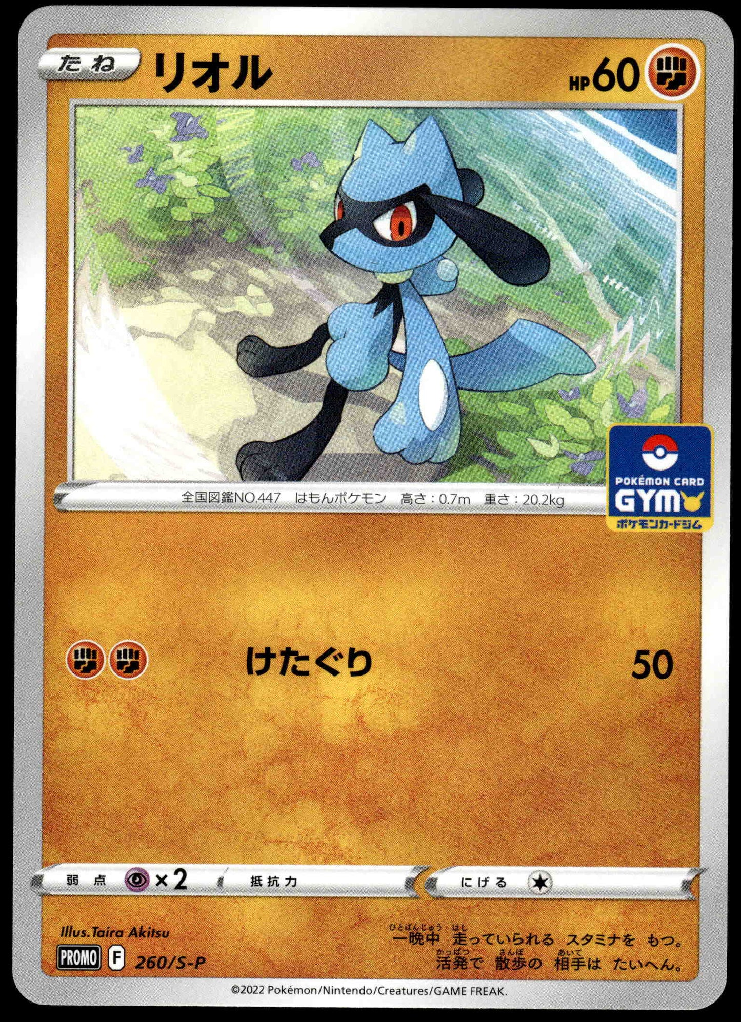 Riolu 260/S-P Gym Campaign Promo Japanese Pokemon [NM] (1)