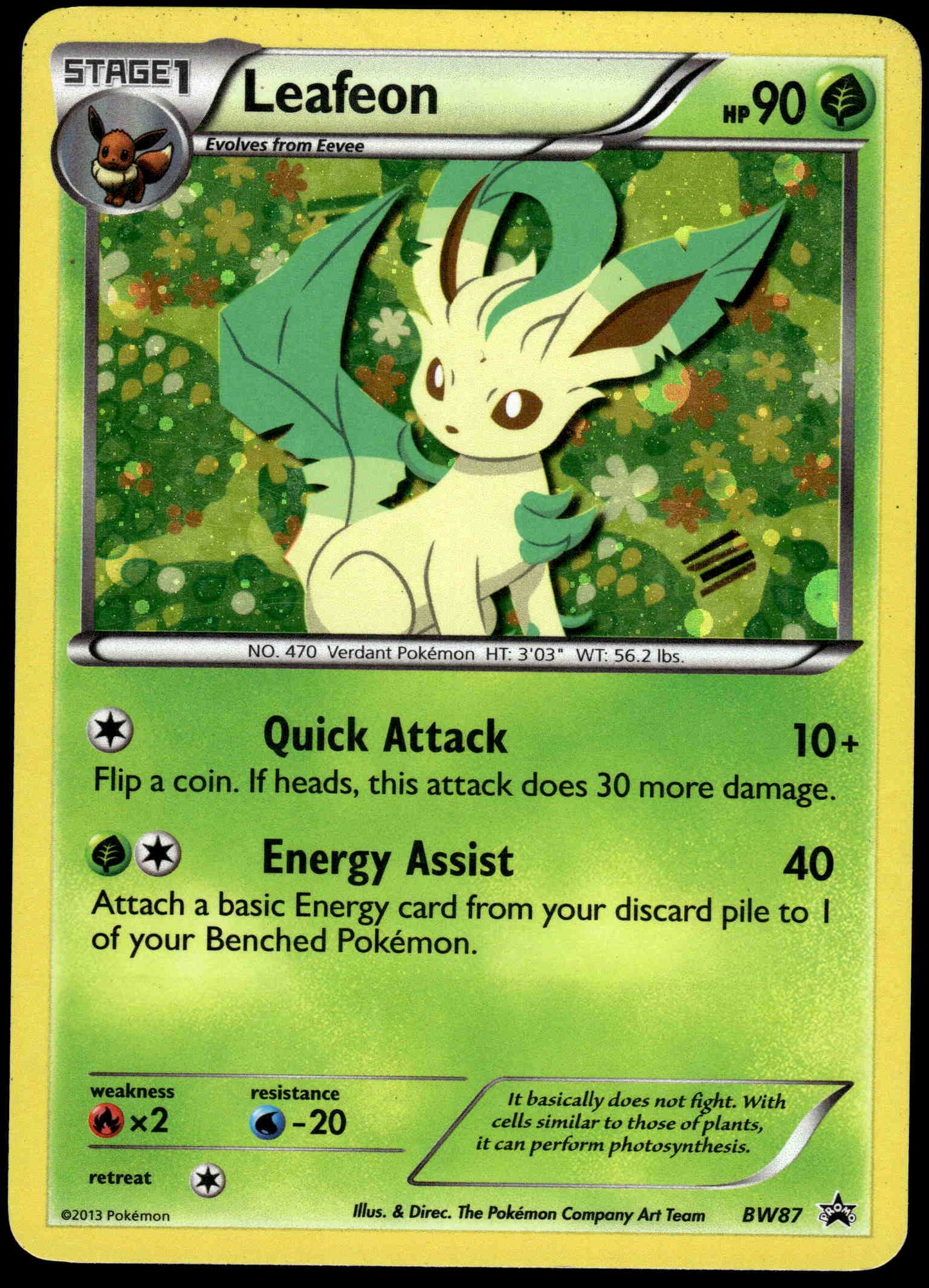 Eeveelutions BW87/88/89/90/91/92/93/94/XY04 Sylveon Collection SET (9) Pokemon [PL]