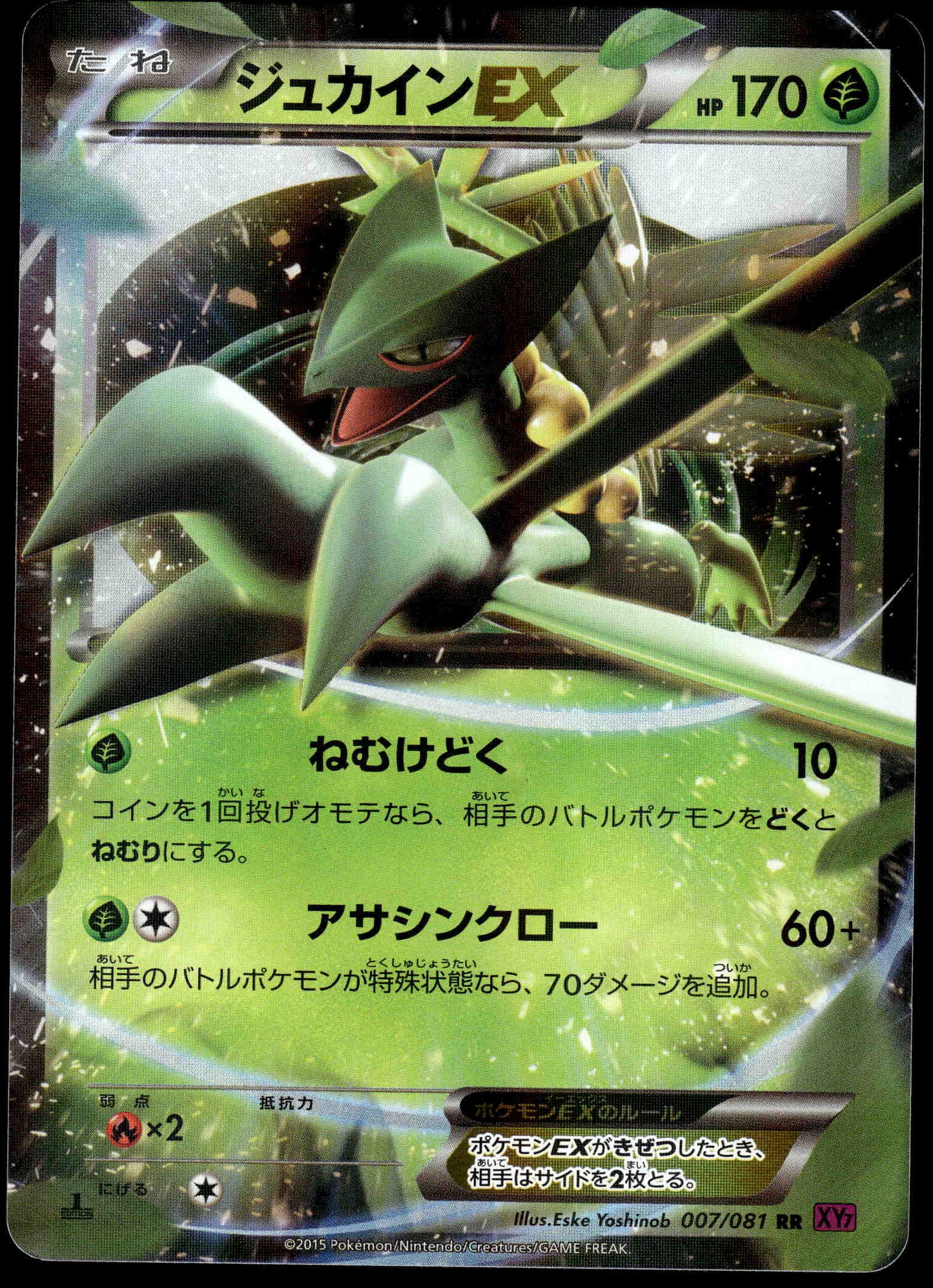 Sceptile EX 007/081 XY Bandit Ring 1st Ed Japanese Pokemon [NM] (1)