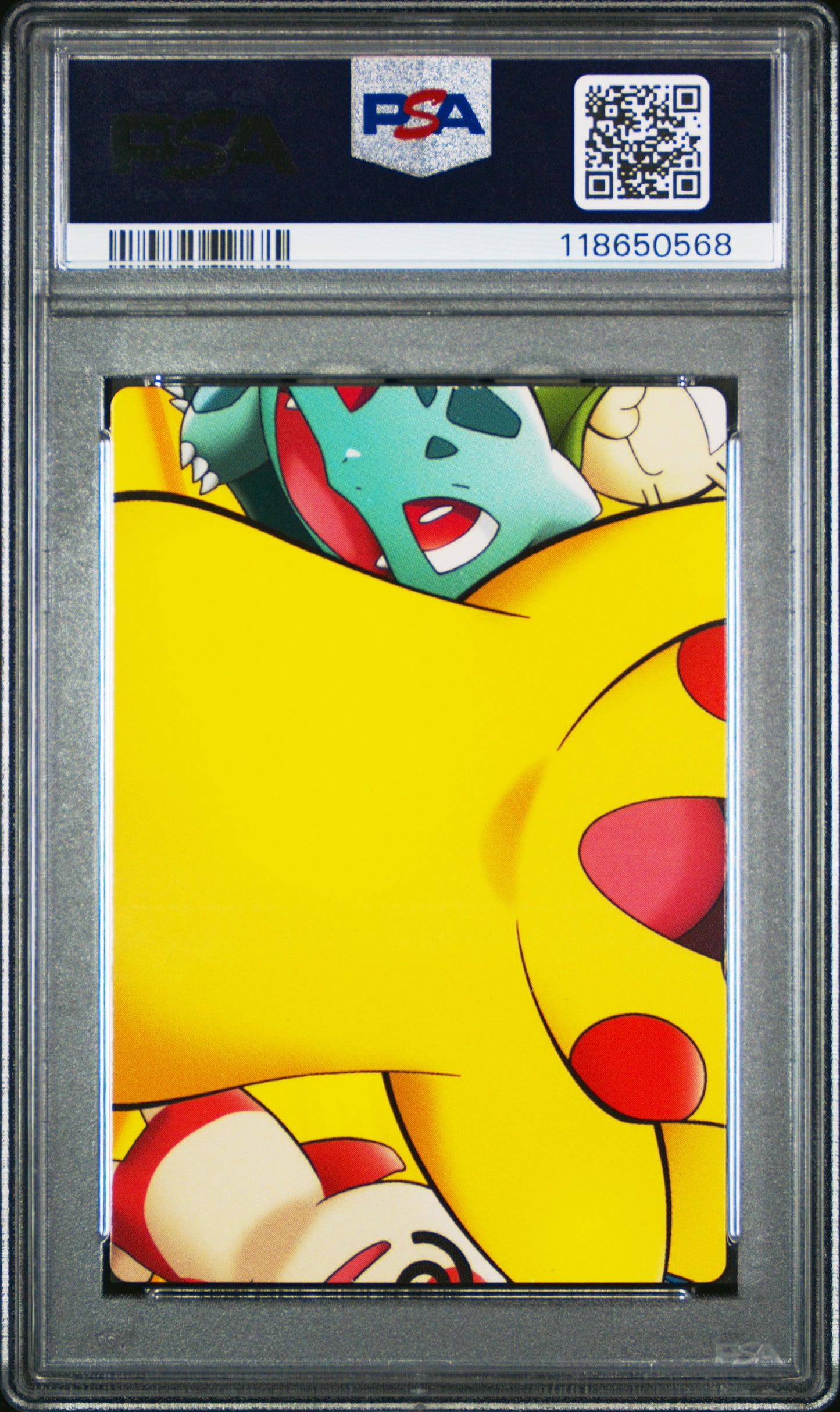 PSA 8 - Mudkip's Big Splash #081 ZUKAN 2005 Adventure Card - Pokemon