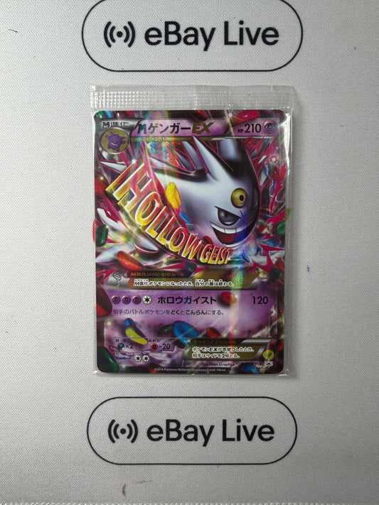 Raw Pokemon JustEncased Raw Pokemon JustEncased