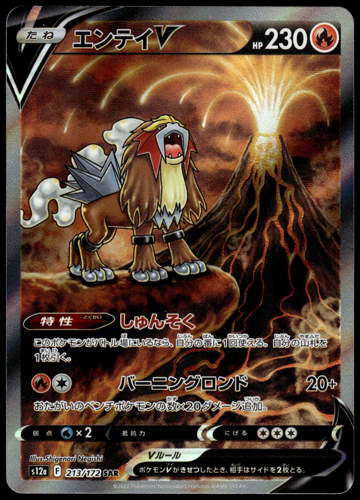 Entei V 213/172 SAR s12a VSTAR Universe Japanese Pokemon [NM] (2)