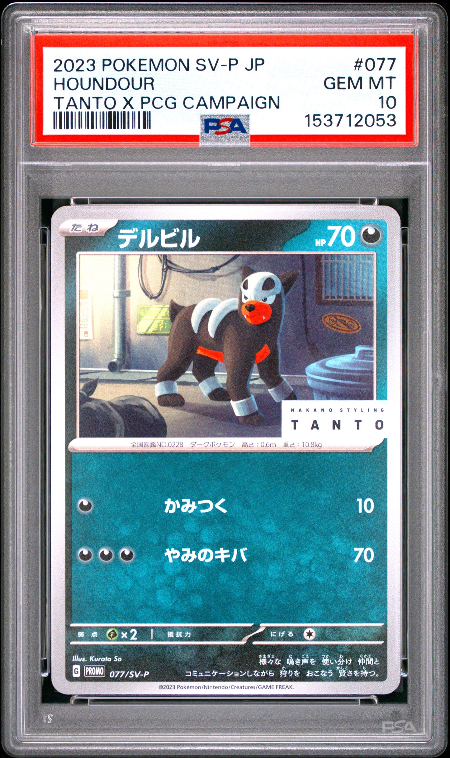 PSA 10 - Houndour 077/SV-P Tanto x PCG Campaign Japanese Promo x053 - Pokemon
