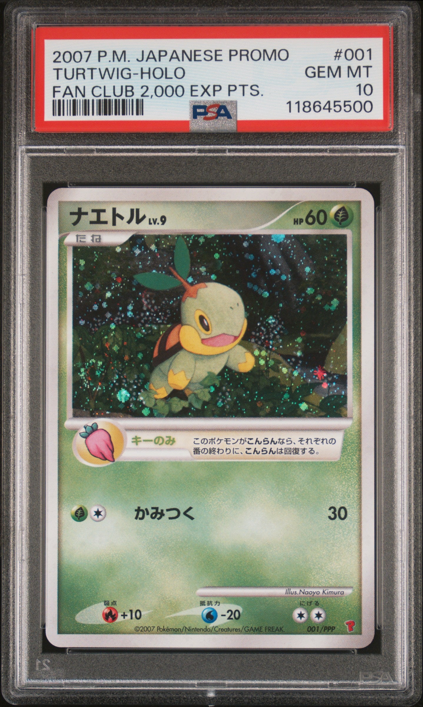 PSA 10 - Turtwig Holo 001/PPP Fan Club 2000 EXP PTS Japanese Promo - Pokemon