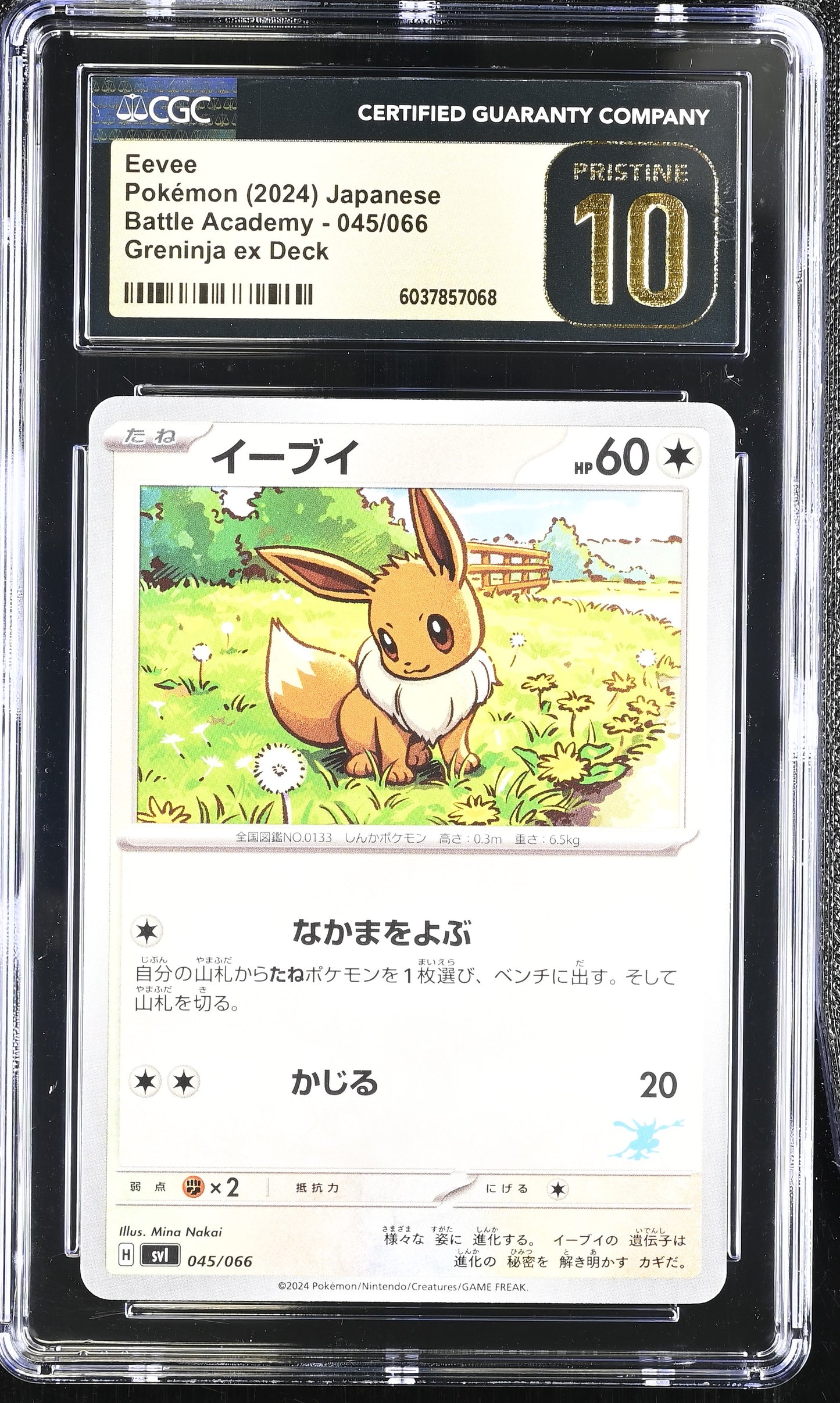 CGC 10 PRISTINE - Eevee 045/066 SVI Greninja ex Deck - Pokemon