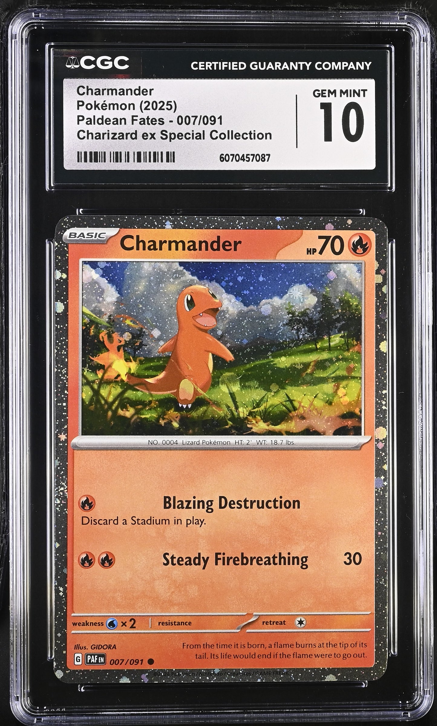 CGC 10 - Charmander Cosmos 007/091 Charizard ex Special Collection Box - Pokemon