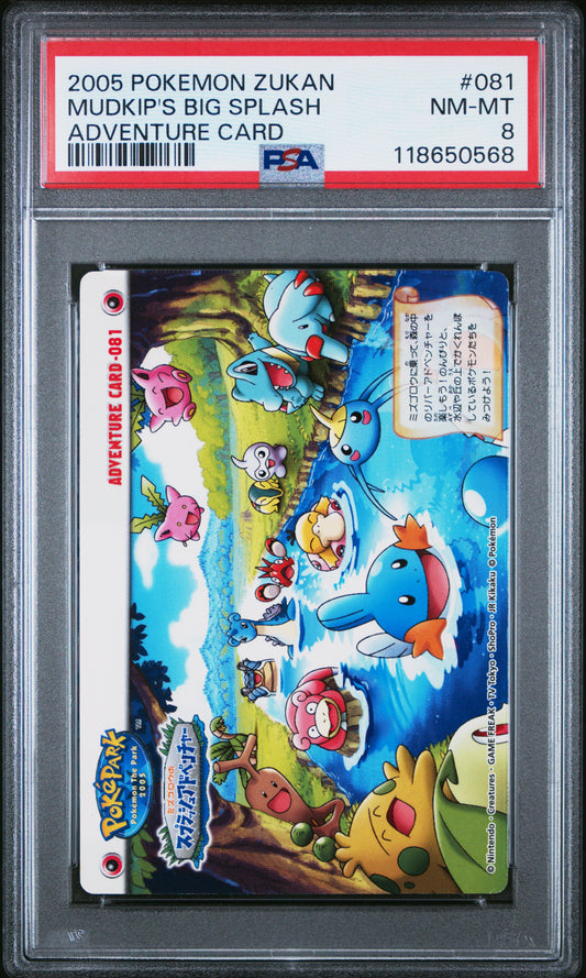 PSA 8 - Mudkip's Big Splash #081 ZUKAN 2005 Adventure Card - Pokemon