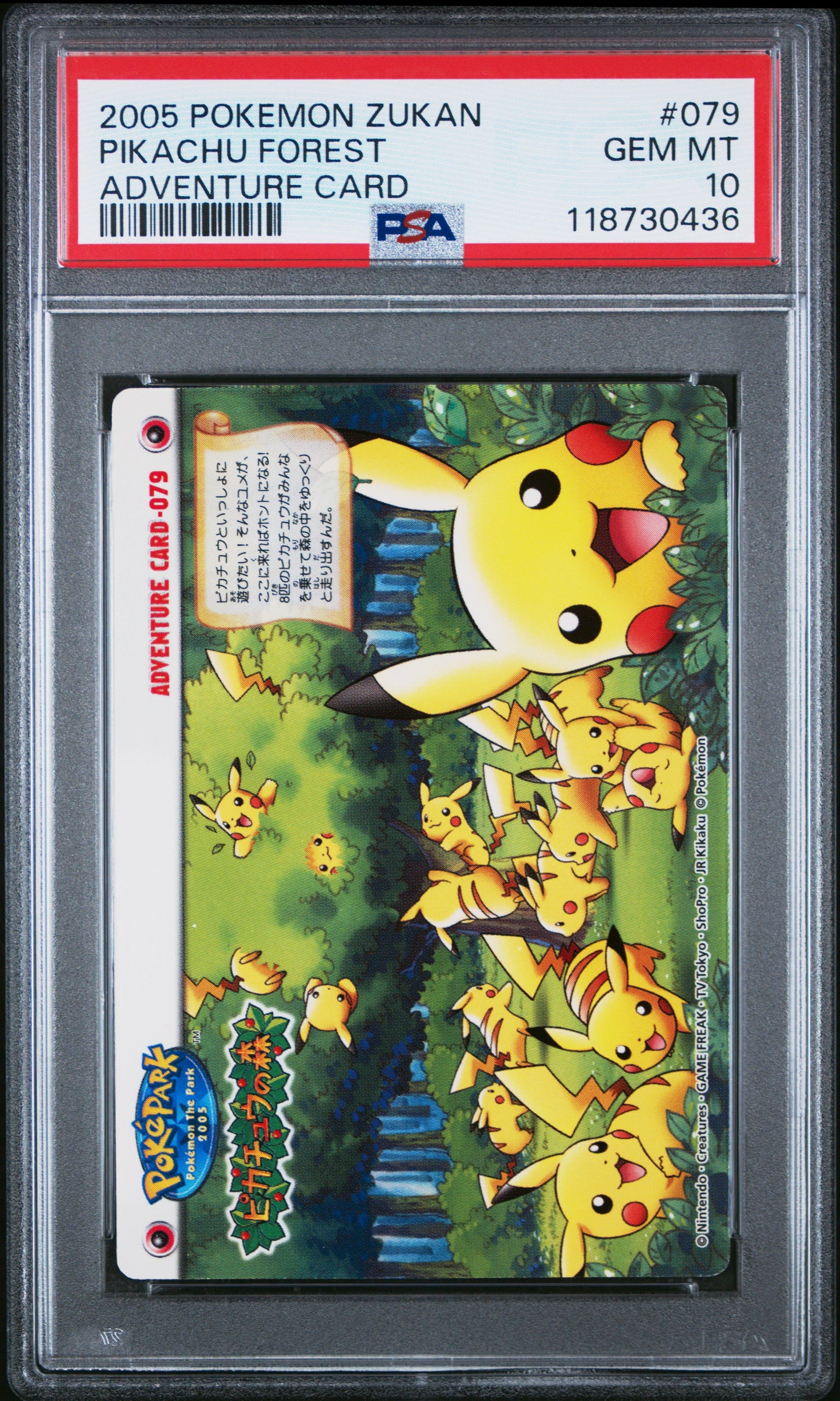PSA 10 - Pikachu Forest #079 ZUKAN 2005 Adventure Card - Pokemon