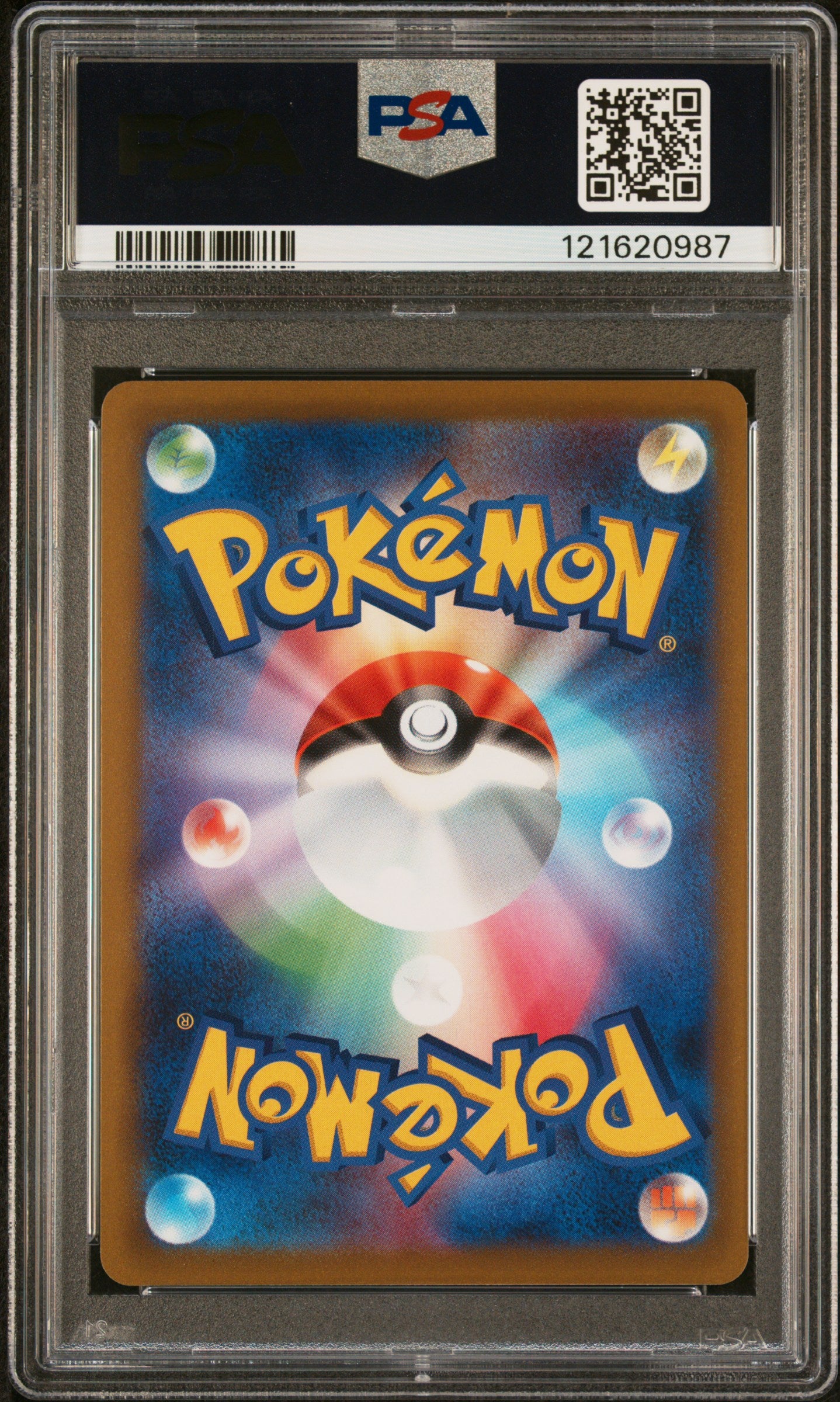 PSA 10 - Bulbasaur Aracanine Greninja [SEQ] 2022 Illustration Contest - Pokemon