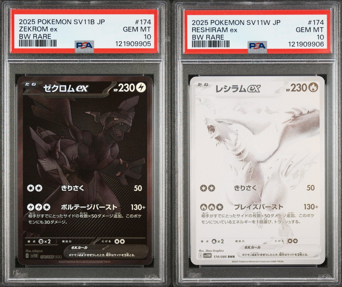 PSA 10 - Zekrom Reshiram ex /086 BWR [SEQ] SV11 Black Bolt White Flare - Pokemon