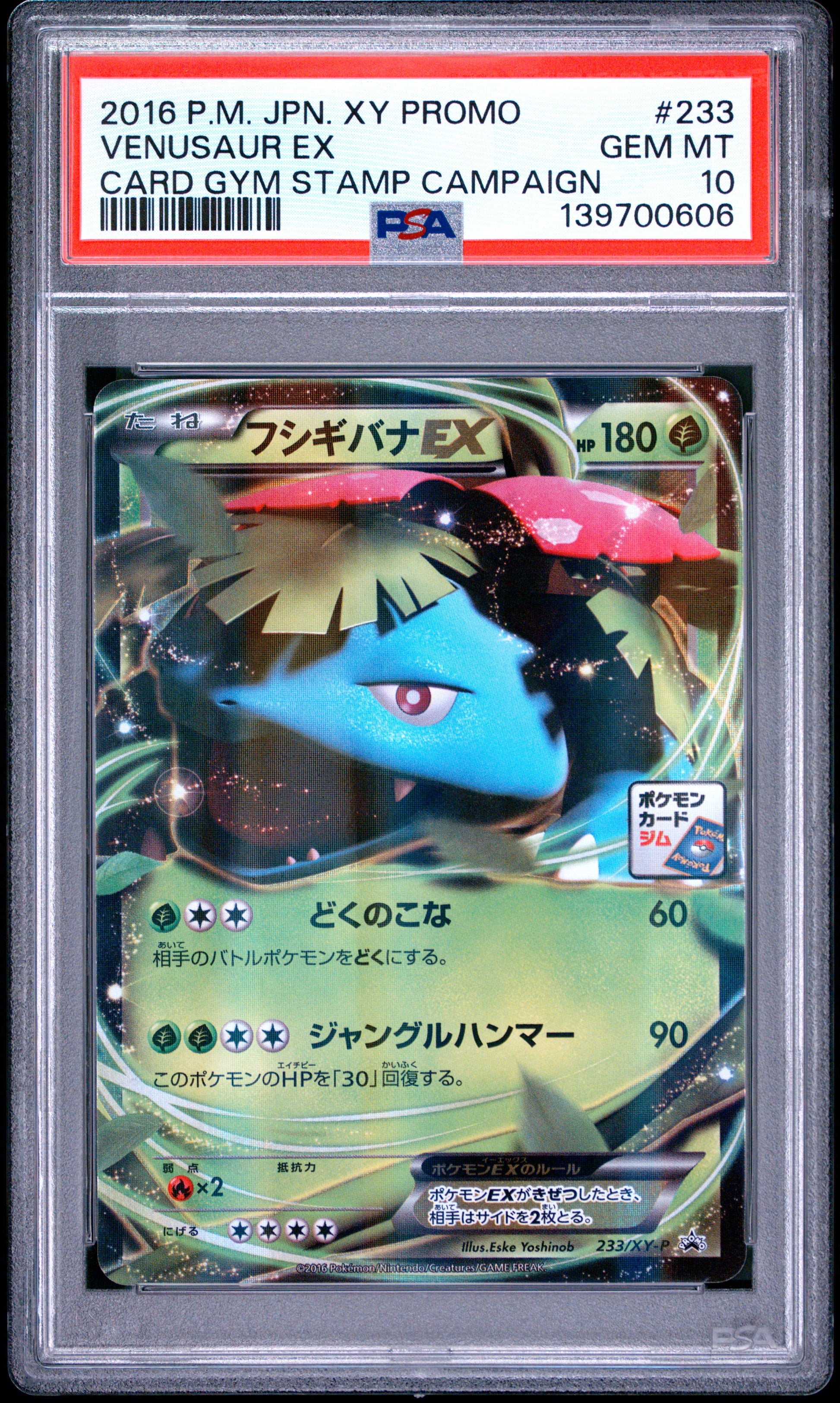PSA 10 - Venusaur EX 233/XY-P Gym Stamp Campaign Japanese Promo x606 - Pokemon