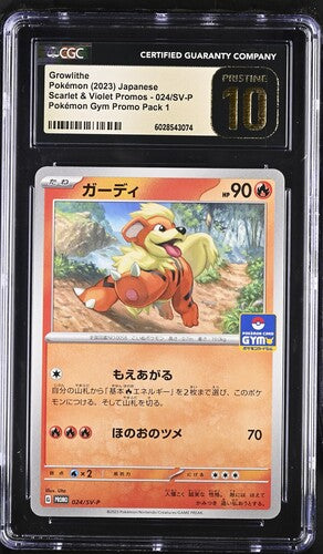 CGC 10 Pristine - Growlithe 024/SV-P Gym Promo Pack 1 - Pokemon