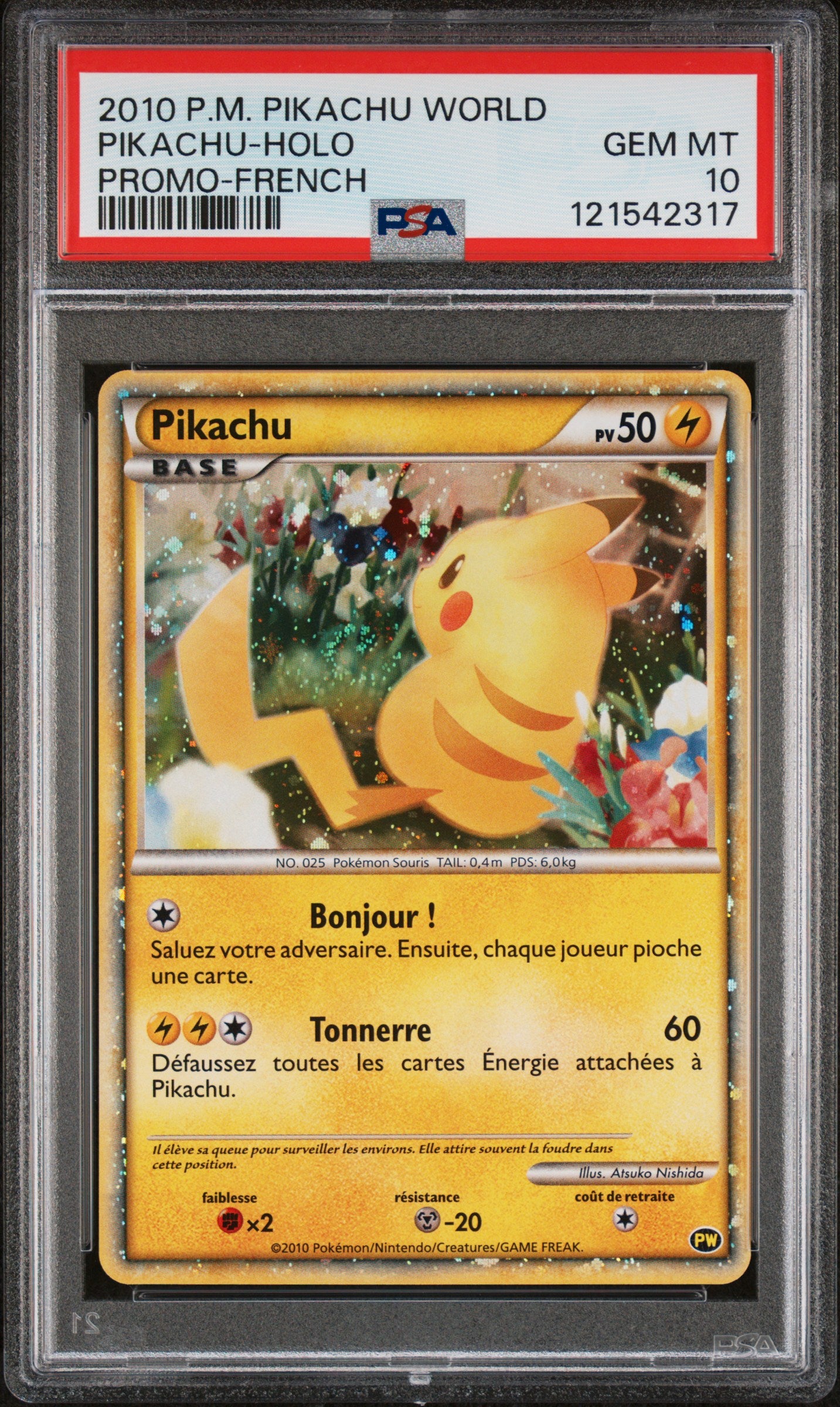 PSA 10 - Pikachu Holo 2010 World Collection Promo French - Pokemon