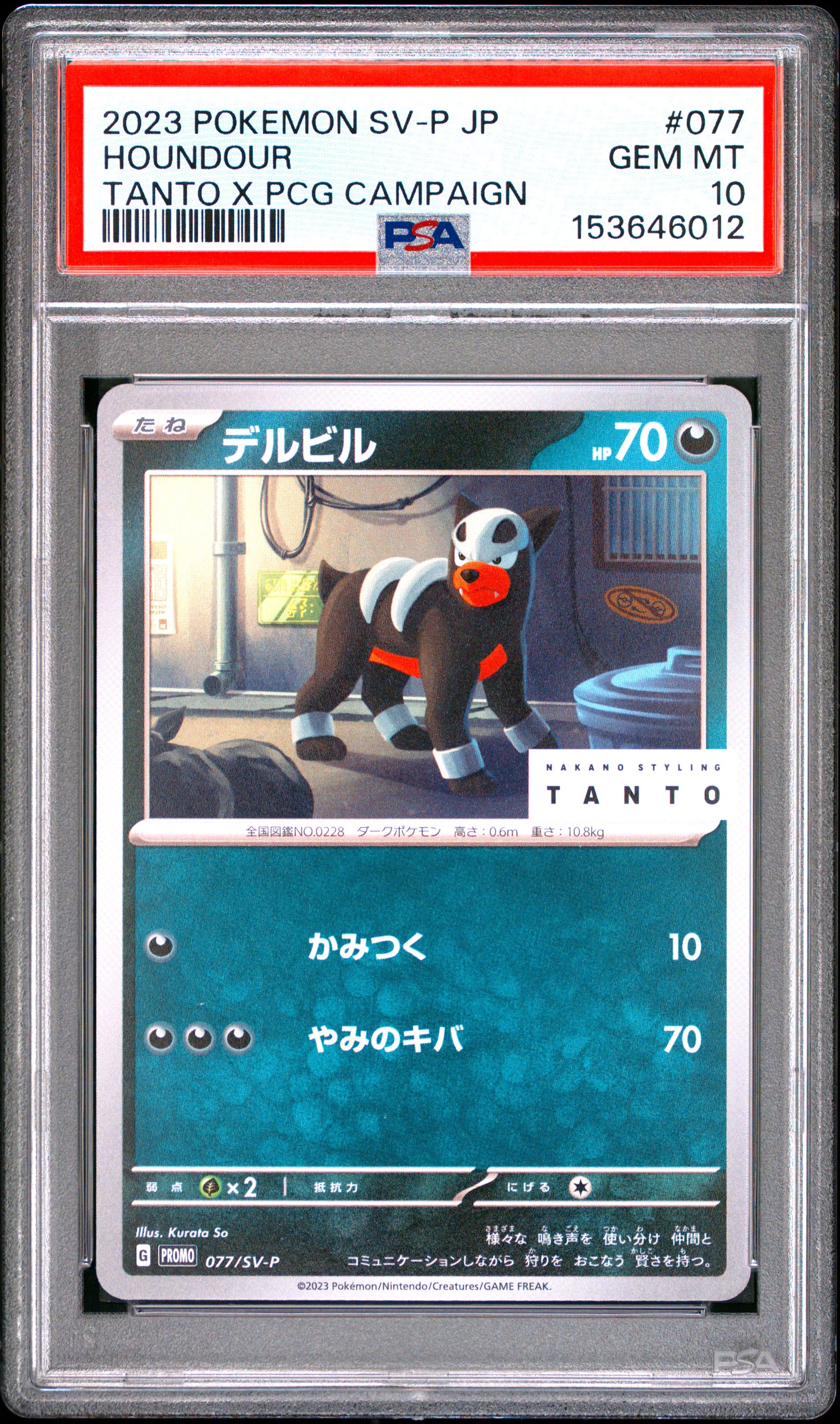 PSA 10 - Houndour 077/SV-P Tanto x PCG Campaign Japanese Promo x012 - Pokemon