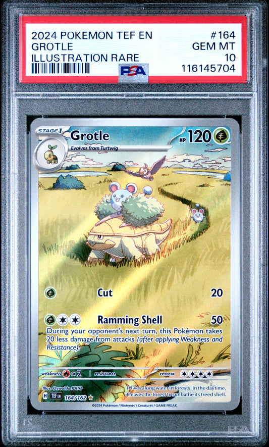 PSA 10 - Grotle 164/162 Illustration Rare SV Temporal Forces - Pokemon