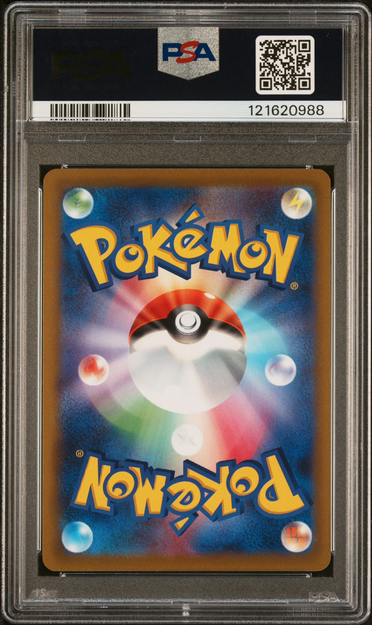 PSA 10 - Bulbasaur Aracanine Greninja [SEQ] 2022 Illustration Contest - Pokemon