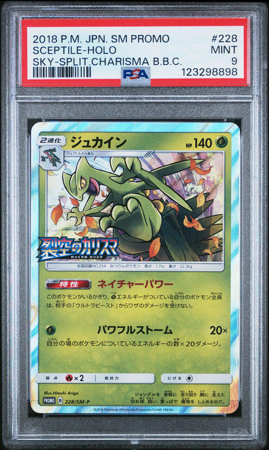 PSA 9 - Sceptile Holo 228/SM-P Sky-Splitting Charisma Box Promo - Pokemon