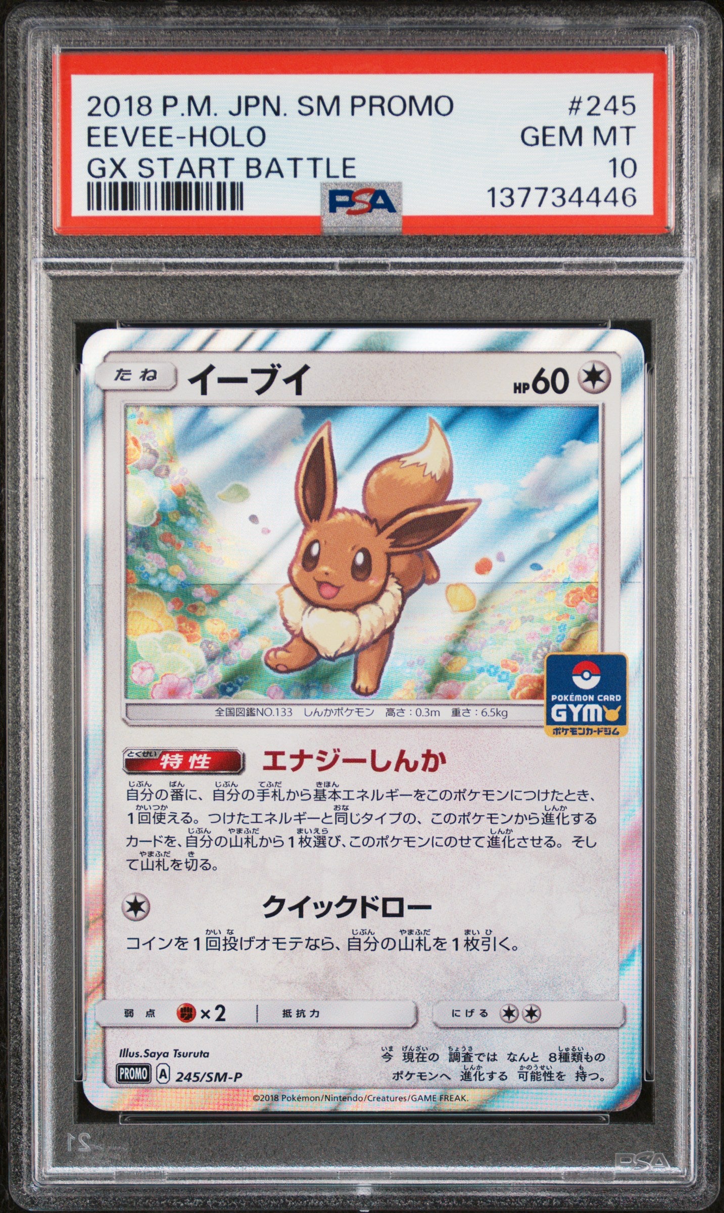 PSA 10 - Eevee Holo 245/SM-P GX Start Battle Japanese Promo - Pokemon