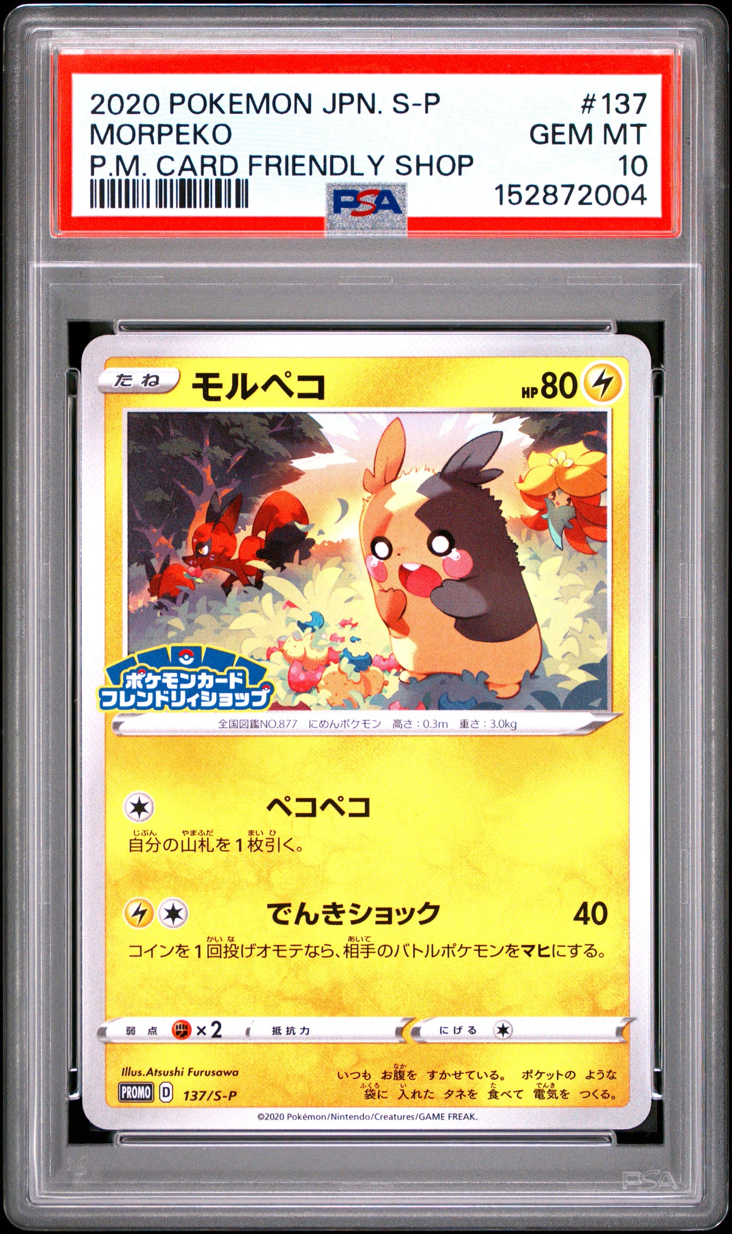 PSA 10 - Morpeko 137/S-P Friendly Shop Japanese Promo x004 - Pokemon