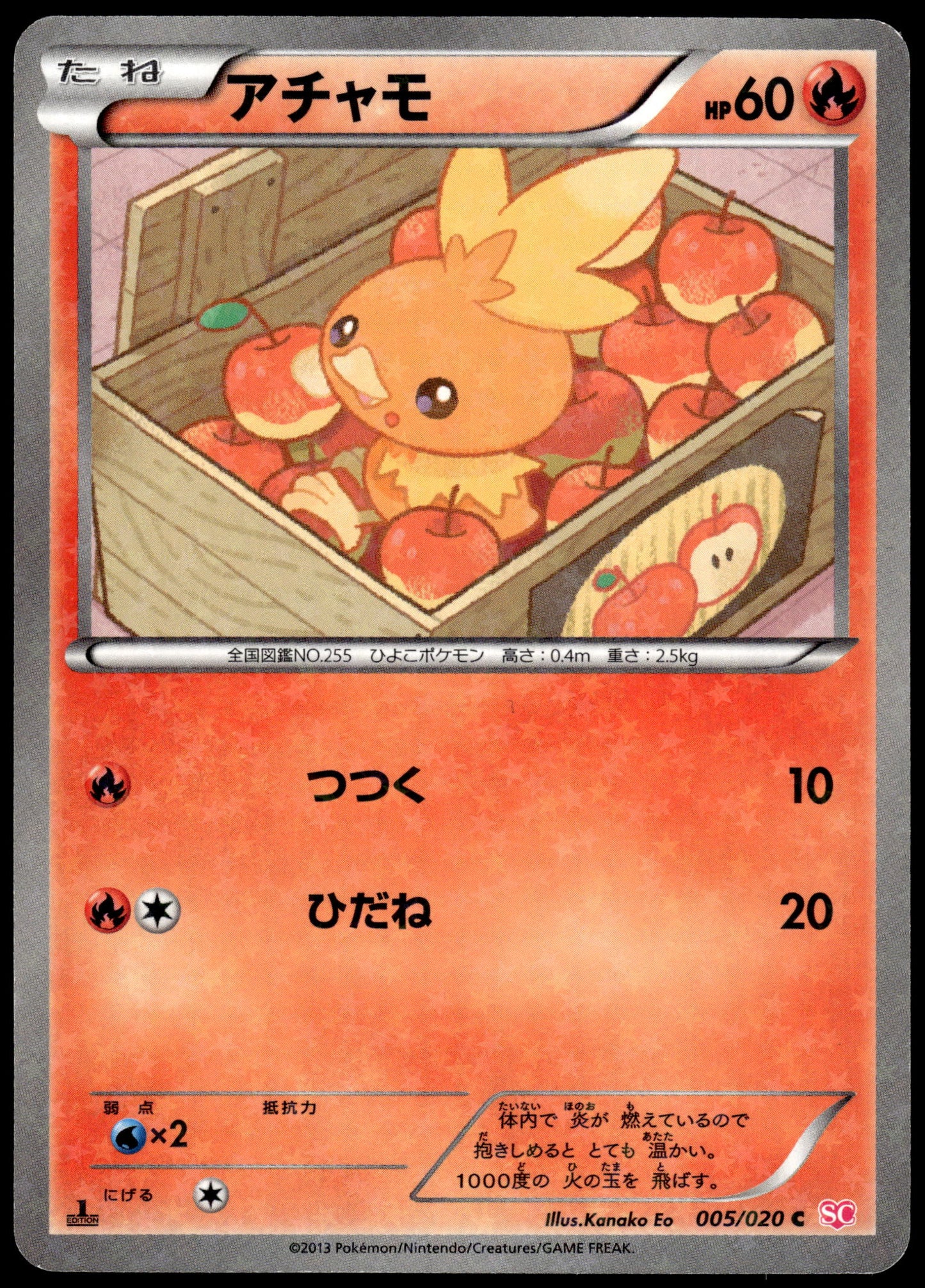 Torchic Holo 005/020 BW Shiny Collection 1st Edition Pokemon [NM] (1)