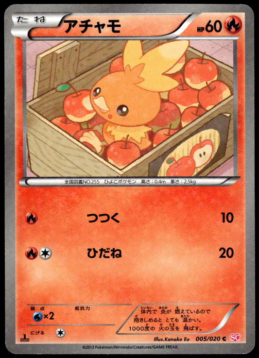 Torchic Holo 005/020 BW Shiny Collection 1st Edition Pokemon [NM] (2)