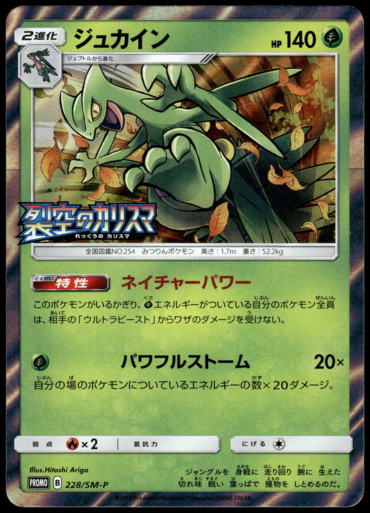 Sceptile Holo 228/SM-P Sky-Splitting Charisma Pre-Order Promo Pokemon [NM] (1)
