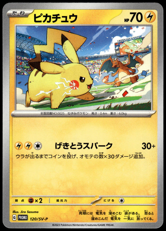 Pikachu 120/SV-P Gym Campaign Event Japanese Promo Pokemon [NM] (1)