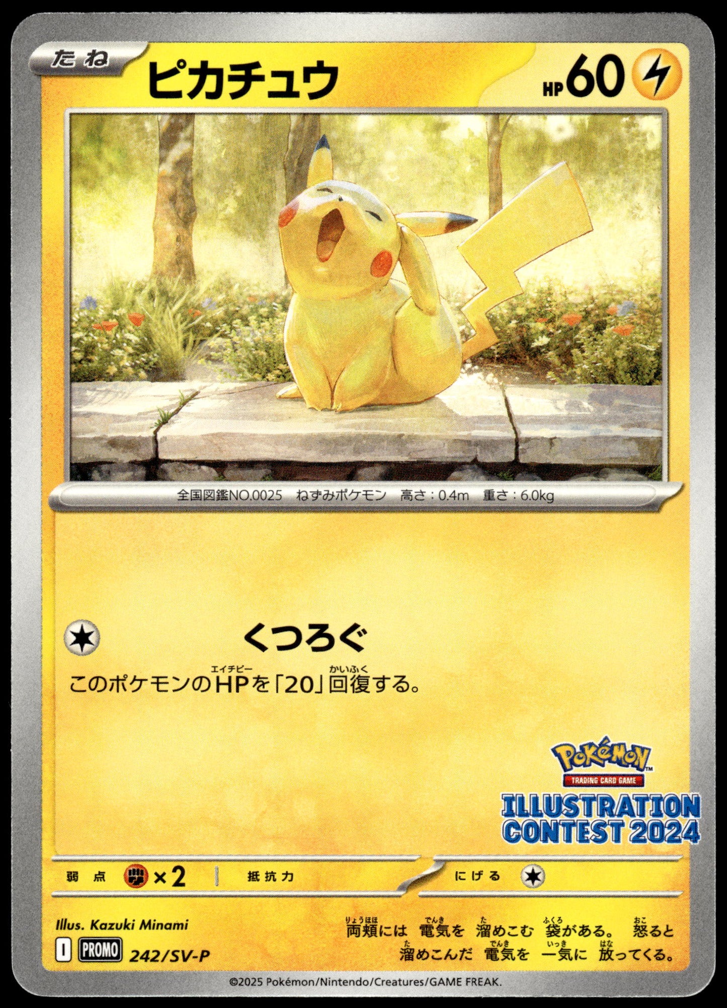 Pikachu 242/SV-P 2024 Illustration Contest Japanese Promo Pokemon [NM] (3)
