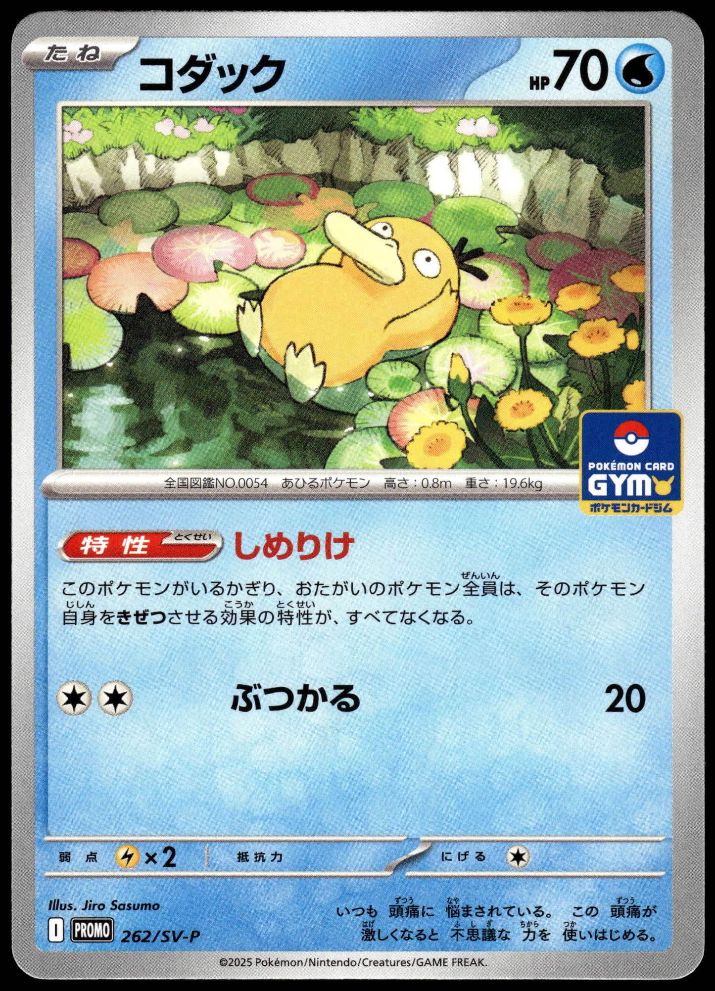 Psyduck 262/SV-P Gym Campaign Event Japanese Promo Pokemon [NM] (2)
