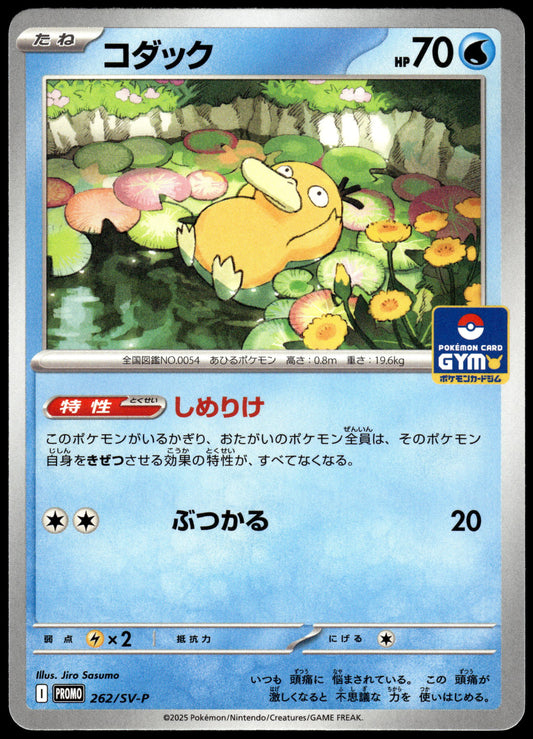 Psyduck 262/SV-P Gym Campaign Event Japanese Promo Pokemon [NM] (2)