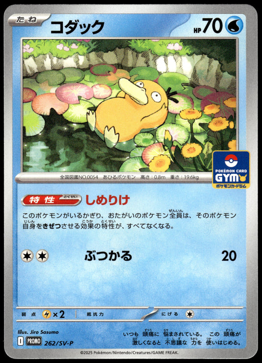 Psyduck 262/SV-P Gym Campaign Event Japanese Promo Pokemon [NM] (3)