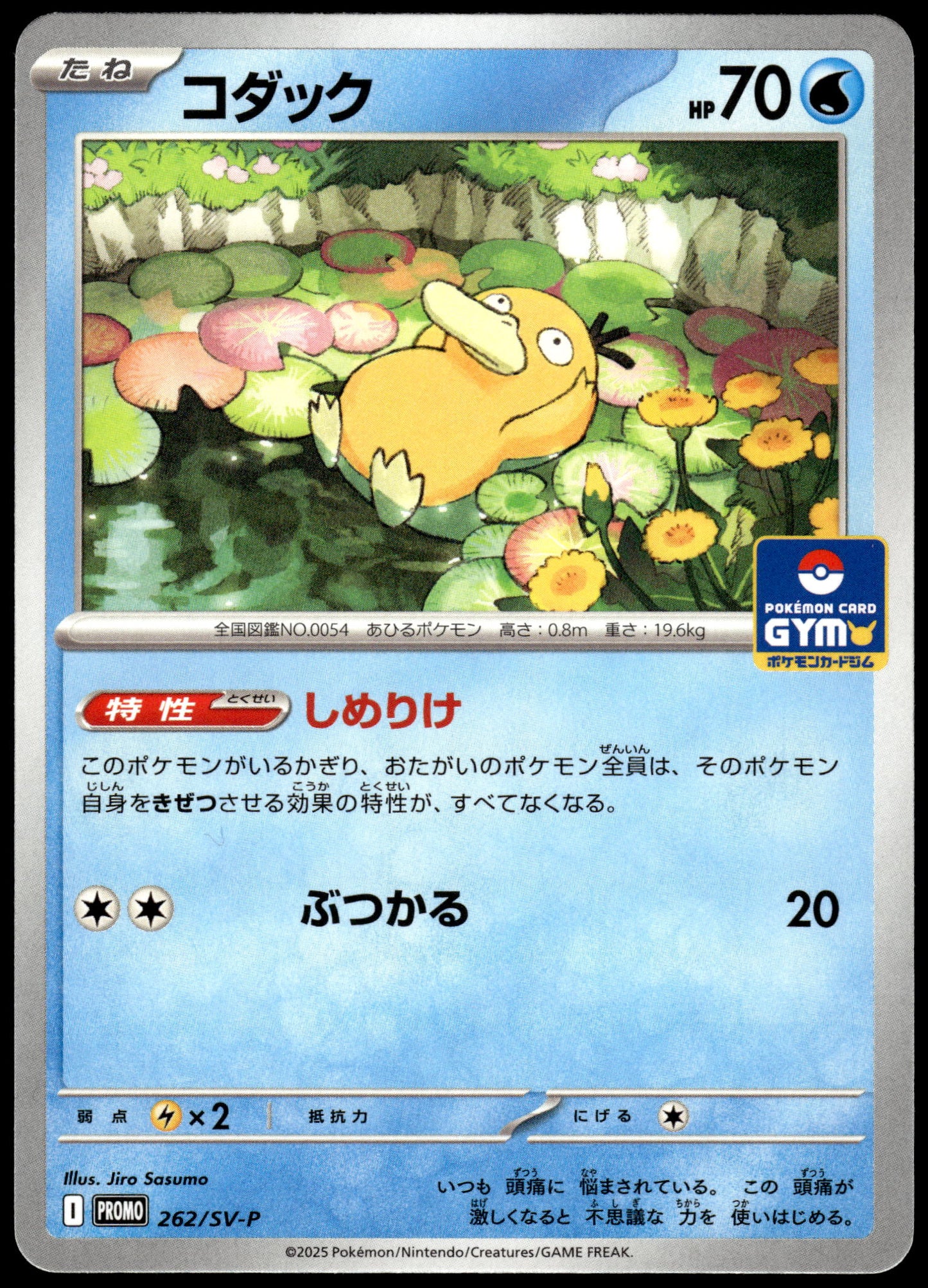 Psyduck 262/SV-P Gym Campaign Event Japanese Promo Pokemon [NM] (6)