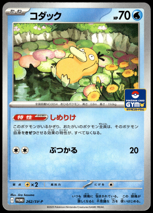 Psyduck 262/SV-P Gym Campaign Event Japanese Promo Pokemon [NM] (6)