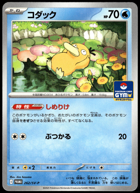 Psyduck 262/SV-P Gym Campaign Event Japanese Promo Pokemon [NM] (8)