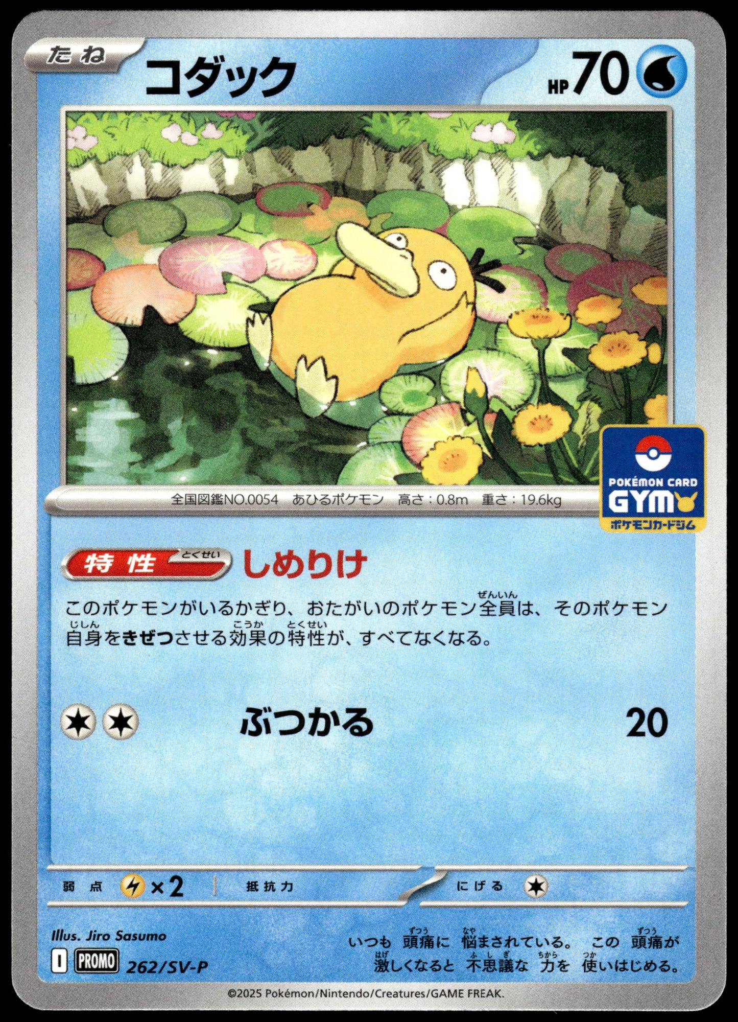 Psyduck 262/SV-P Gym Campaign Event Japanese Promo Pokemon [NM] (10)