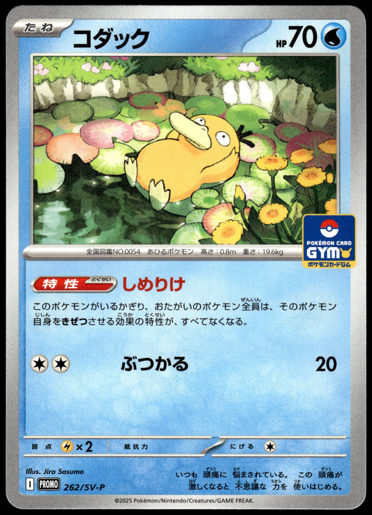 Psyduck 262/SV-P Gym Campaign Event Japanese Promo Pokemon [NM] (10)