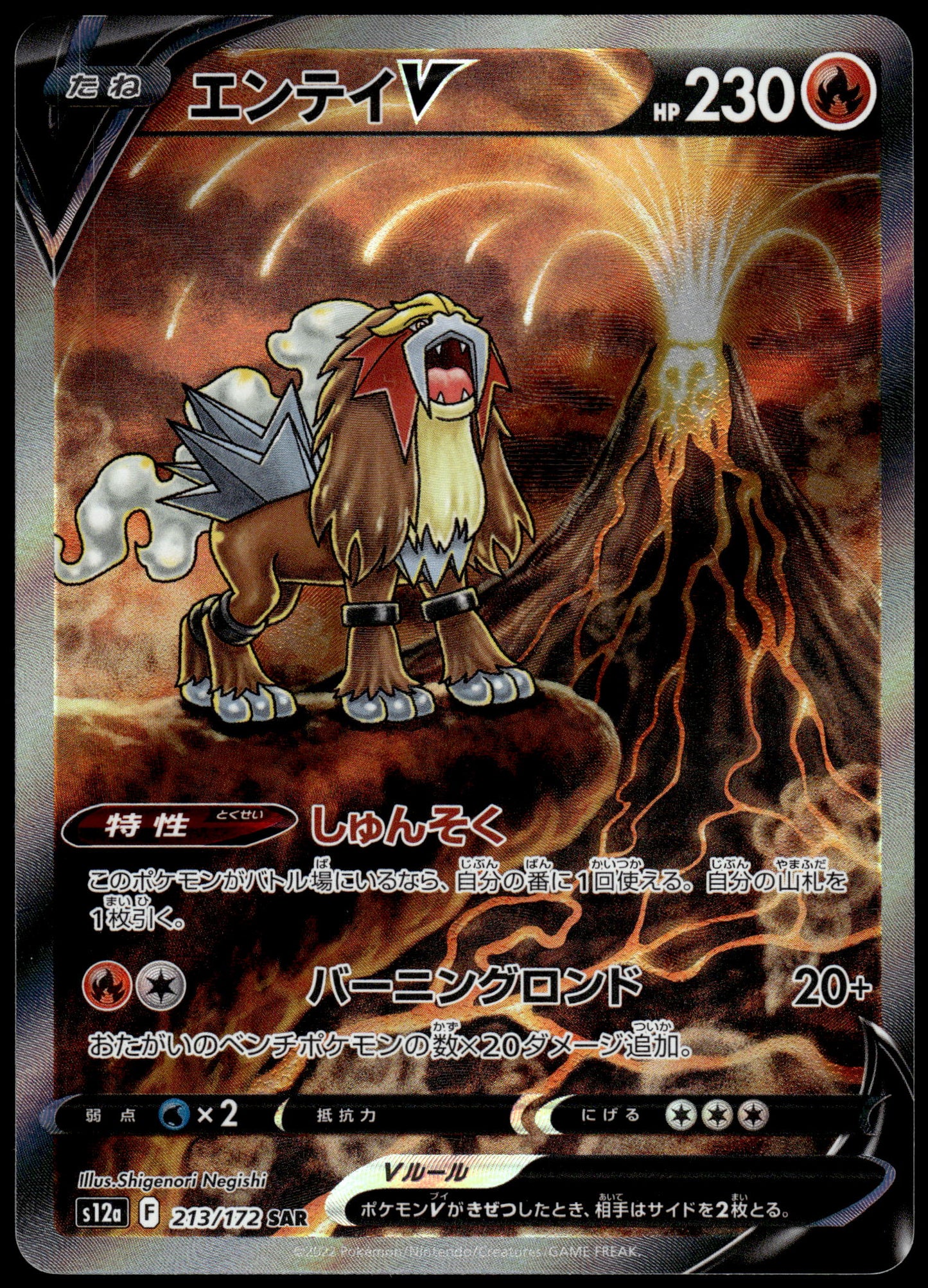 Entei V 213/172 s12a VSTAR Universe Japanese Pokemon [NM] (1)