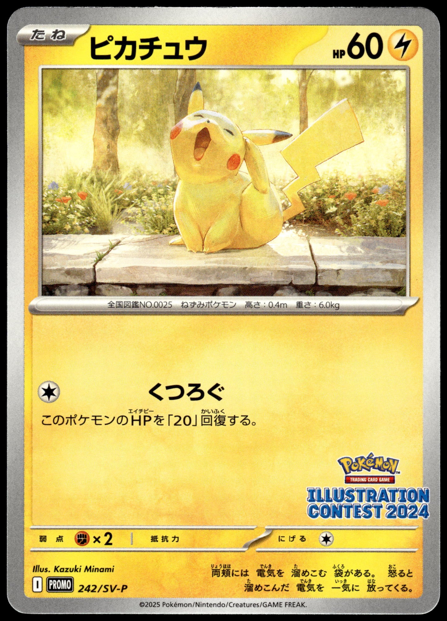 Pikachu 242/SV-P 2024 Illustration Contest Japanese Promo Pokemon [NM] (4)