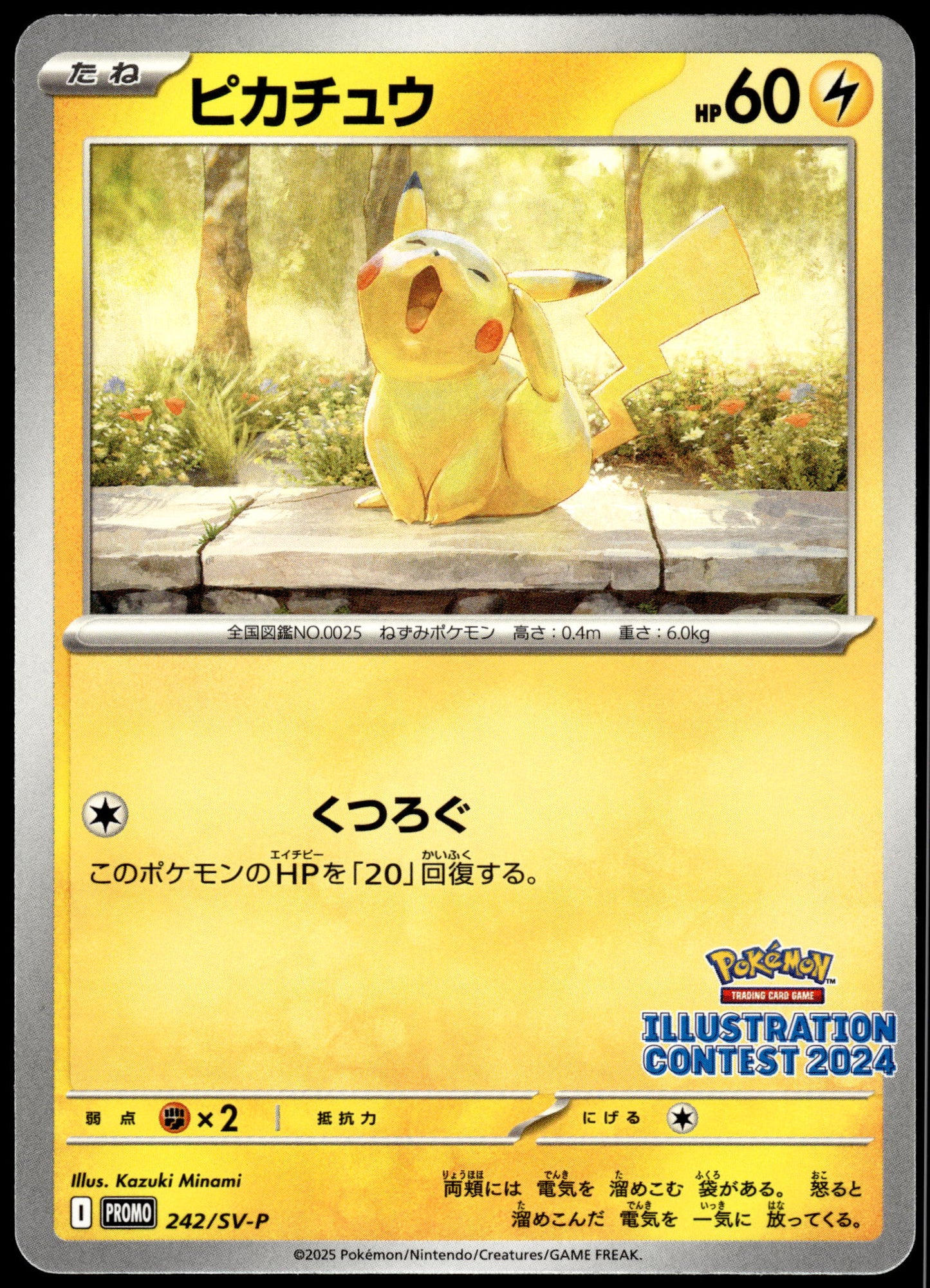 Pikachu 242/SV-P 2024 Illustration Contest Japanese Promo Pokemon [NM] (6)