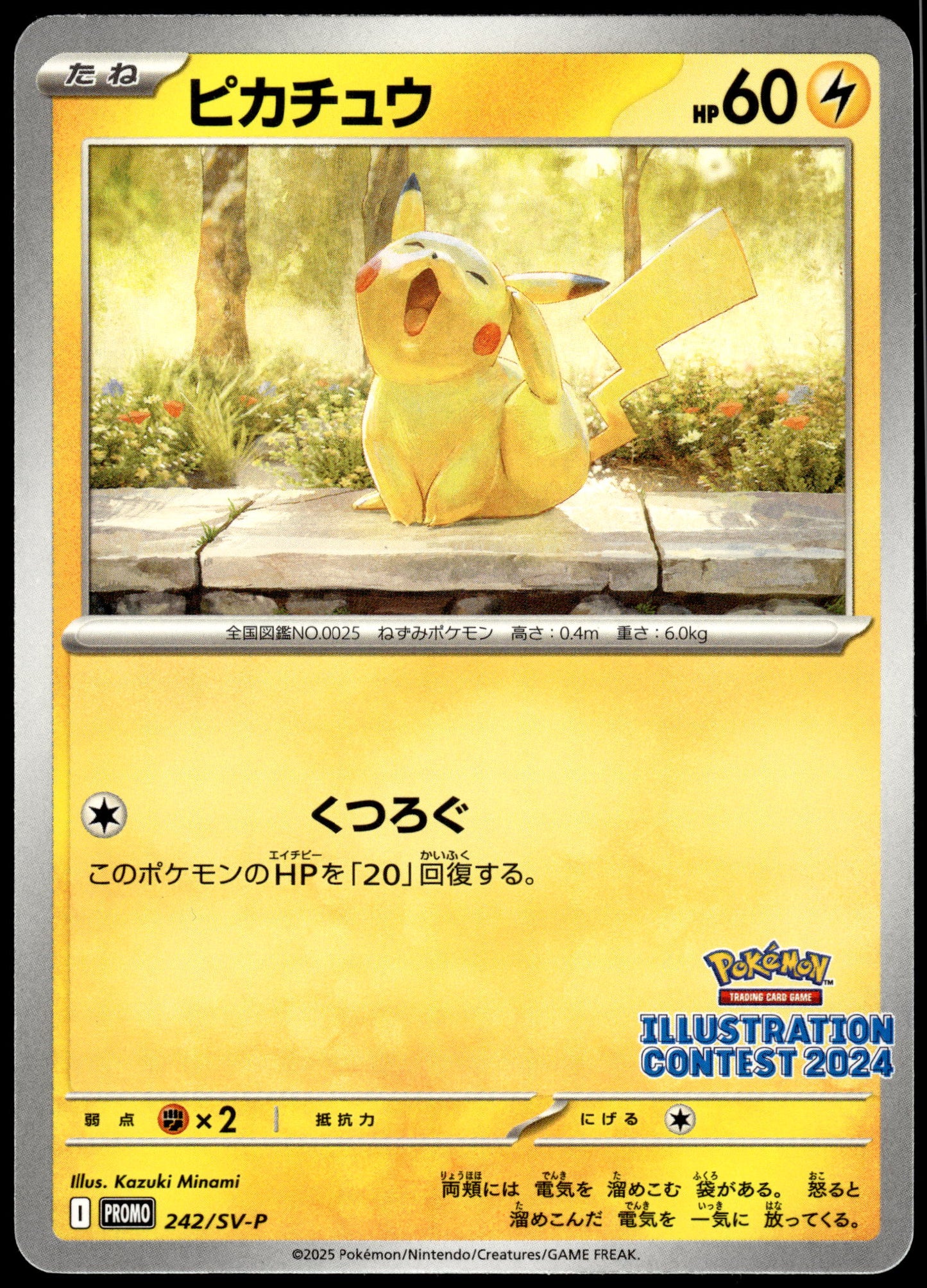 Pikachu 242/SV-P 2024 Illustration Contest Japanese Promo Pokemon [NM] (8)