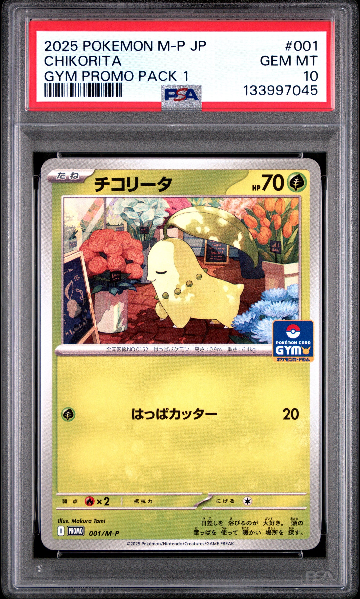PSA 10 - Chikorita 001/M-P Gym Campaign Pack 1 Japanese Promo *LOW POP* - Pokemon