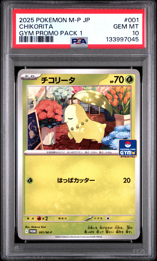 PSA 10 - Chikorita 001/M-P Gym Campaign Pack 1 Japanese Promo *LOW POP* - Pokemon