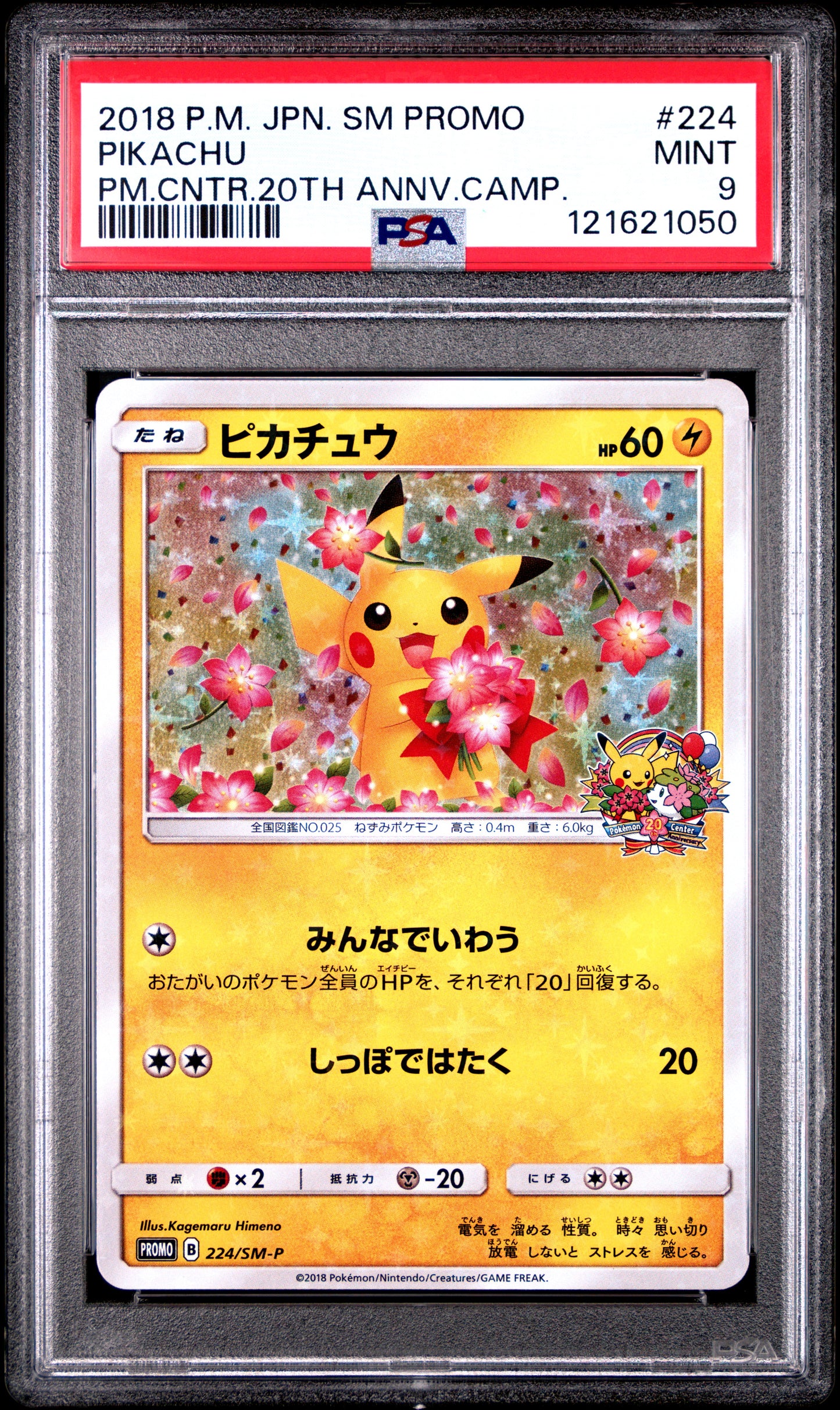 PSA 9 - Pikachu Holo 224/SM-P 20th Anniversary Celebration Promo - Pokemon